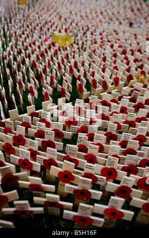 Kreuze und Mohn in dem Bereich des Gedenkens auf dem Gelände der Westminster Abbey in London Stockfoto