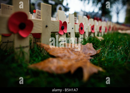 Mohn und Kreuze in dem Bereich des Gedenkens auf dem Gelände der Westminster Abbey in London Stockfoto