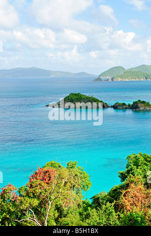 ST. JOHN, U.S. Virgin Islands – Trunk Bay, ein atemberaubender Strand im Virgin Islands National Park. Trunk Bay ist bekannt für seinen unberührten weißen Sand, das kristallklare türkisfarbene Wasser und den Unterwasser-Schnorchelpfad und ein beliebtes Ziel für Touristen und Naturliebhaber. Das üppige Grün der Umgebung und die Korallenriffe verstärken die natürliche Schönheit der Bucht. Stockfoto