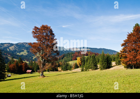 Bergbauernhof Felder im Herbst am Oberjoch Pass an der deutsch-österreichischen Grenze Stockfoto