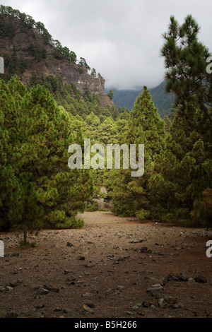 Blick vom Wanderweg in die Caldera de Taburiente, La Palma, Kanarische Inseln, Spanien. Stockfoto