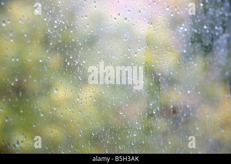 Regen Sie auf der Fensterscheibe Blick auf Bäume Stockfoto