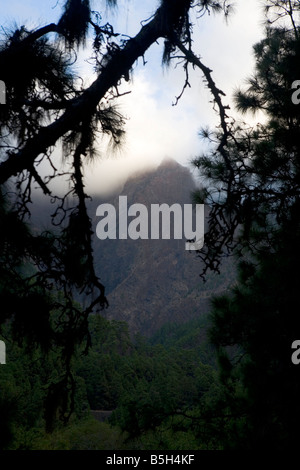 Blick vom Campingplatz in die Caldera de Taburiente auf La Palma, eine der Kanarischen Inseln, Spanien, in den frühen Morgenstunden. Stockfoto