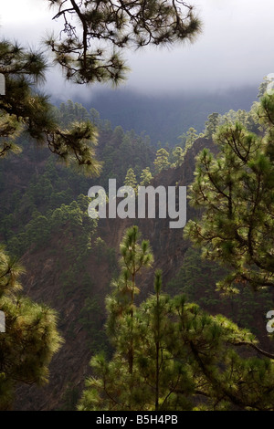 Ein Blick in den frühen Morgenstunden vom Wanderweg in die Caldera de Taburiente, La Palma, Kanarische Inseln, Spanien. Stockfoto