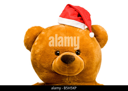 Teddybär-Kopf mit Weihnachtsmütze isoliert auf weißem Hintergrund Stockfoto