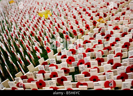 Mohn und Kreuze in dem Bereich des Gedenkens auf dem Gelände der Westminster Abbey in London Stockfoto