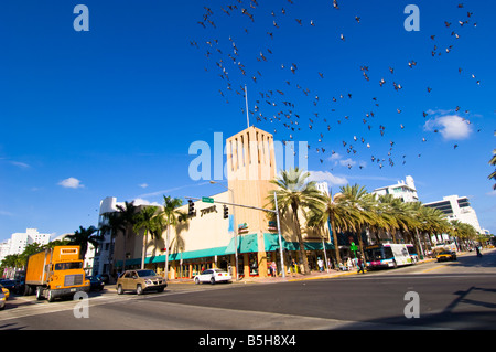Vereinigte Staaten von Amerika Florida Miami South Beach Lincoln Road Stockfoto