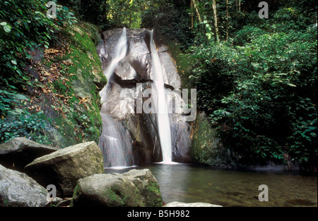 Poring Hot Springs Mount Kinabalu Sabah Borneo malaysia Stockfoto