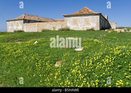 Alte Ruine Landhaus inmitten der Espichel Kap. Sesimbra, Portugal Stockfoto