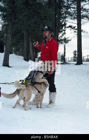 Mann mit Schlittenhunde bei Schlittenhunderennen in der Nähe von 100 Mile House in der Cariboo Region British Columbia Kanada Stockfoto