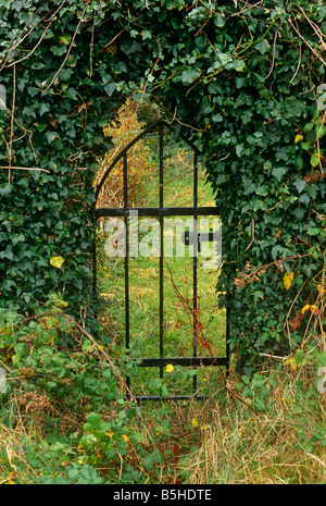 Gotische Tor durch Efeu bewachsenen Wand Stockfoto