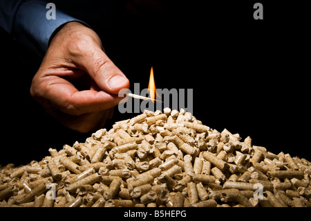 Brennendes Zündholz, um einen Haufen Qood Pellets für natürliche Heizung Leuchten Stockfoto