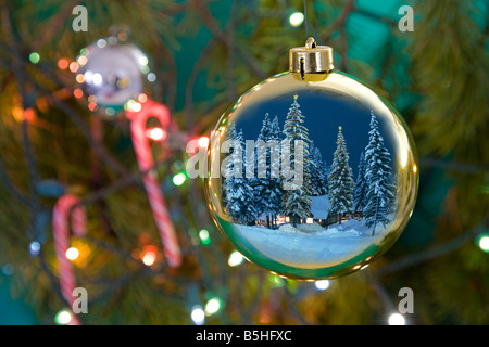 Eine Kabine mit Licht auf einen großen Weihnachtsbaum spiegelt sich in einem Weihnachtsbaum Ornament mit Zuckerstangen und Lichter Stockfoto
