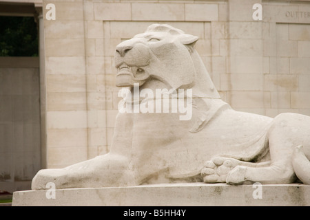 Löwenstatue am Ploegsteert Denkmal auf die fehlende tragen die Namen von 11.447 britischen Soldaten des ersten Weltkriegs, Flandern Stockfoto