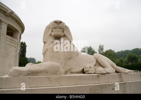 Löwenstatue am Ploegsteert Denkmal auf die fehlende tragen die Namen von 11.447 britischen Soldaten des ersten Weltkriegs, Flandern Stockfoto