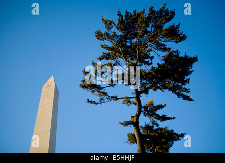 1. März 2008 Washington D C das Gelände rund um das Washington Monument Stockfoto