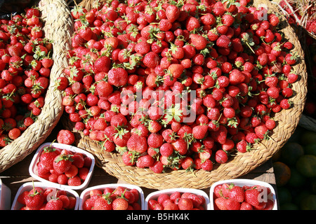 Erdbeeren auf dem Markt Analakely, Antananarivo in Madagaskar Stockfoto