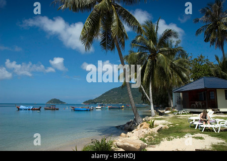 Palmen am Strand, Mae Haad Beach, Koh Tao, Bangkok, Thailand Stockfoto