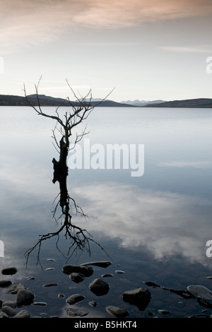 Loch Rannoch Perthshire Region Tayside Schottland UK SCO 1110 Stockfoto