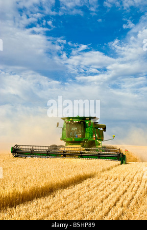 Ein Mähdrescher erntet Gerste in der Palouse Region Washington Stockfoto