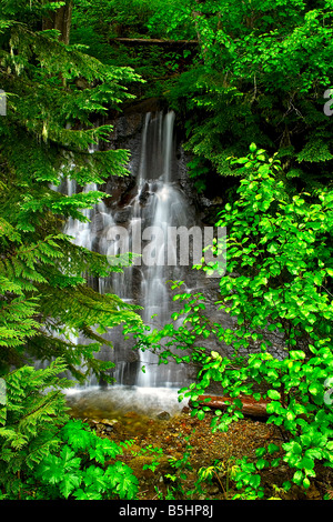 Unbenannte Wasserfall in der Nähe von Mowich Lake in Mount Rainier Nationalpark, Washington, USA Stockfoto