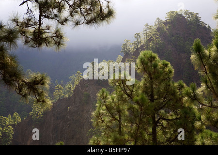 Ein Blick in den frühen Morgenstunden vom Wanderweg in die Caldera de Taburiente, La Palma, Kanarische Inseln, Spanien. Stockfoto