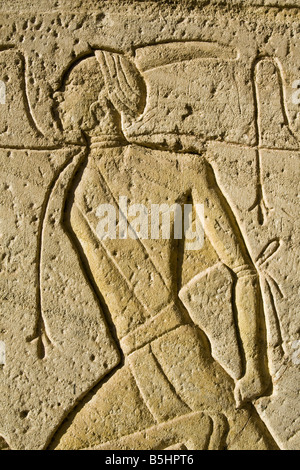 Bas-Relief Detail aus dem Tempel von Abu Simbel in Ägypten Stockfoto