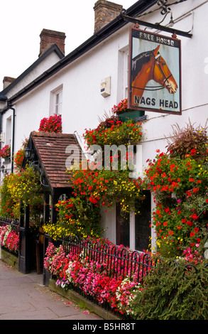 Außenseite des Nags Head Pub im ländlichen Markt Stadt der Usk Monmouthshire South Wales UK Stockfoto