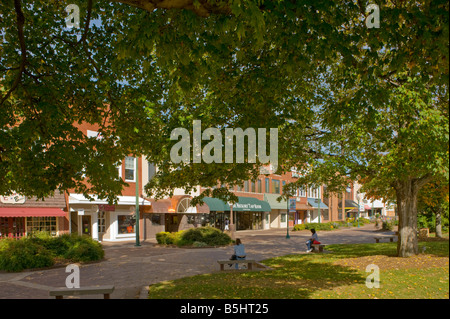 Union Square, Hickory, North Carolina, USA Stockfoto