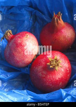 Granatäpfel Stockfoto