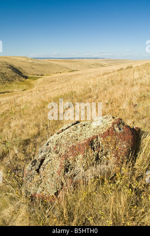 Die Natur Conservancys Zumwalt Prairie bewahren Wallowa County nordöstlichen Oregon Stockfoto