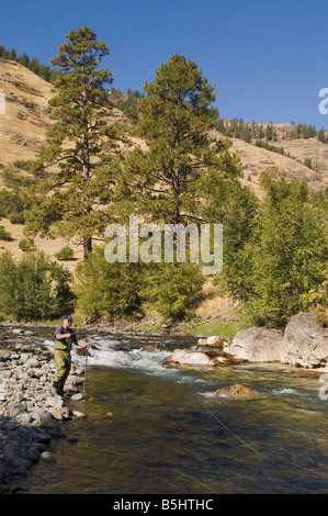 Fliegenfischen Sie am Imnaha River im Nordosten Oregon Stockfoto