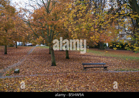 Herbst in Harrogate, North Yorkshire, Großbritannien Stockfoto