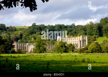 Rievaulx Abtei North Yorkshire UK Stockfoto