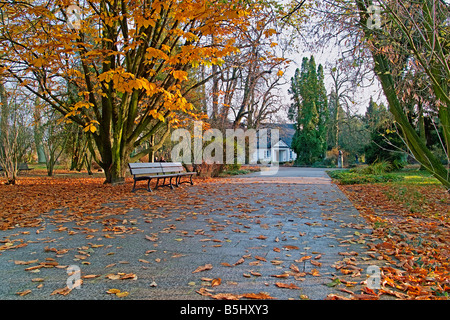 Frederick Chopin Geburtshaus in Zelazowa Wola. Stockfoto