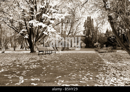 Frederick Chopin Geburtshaus in Zelazowa Wola. Stockfoto