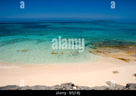 Strand-Roseninsel-Bahamas Stockfoto