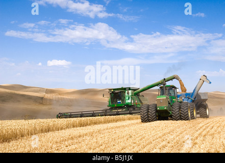 Ein Mähdrescher ernten Weizen auf den Hügeln der Palouse Region Washington während der Entladung auf dem Sprung zu einem Korn-Wagen Stockfoto