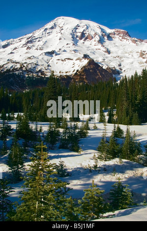 Mount Rainier an einem klaren Tag im zeitigen Frühjahr knapp unterhalb der Paradies-Wiese in Mount Rainier Nationalpark, Washington Stockfoto