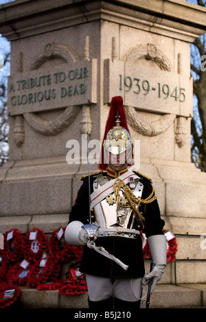 Eine Wache steht an der Kenotaph während 2008-Gedenkveranstaltung in Sunderland, der 90. Jahrestag der Armisitice Day. Stockfoto