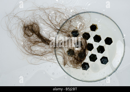 Haare in den Abfluss der Dusche Aussparung Stockfoto