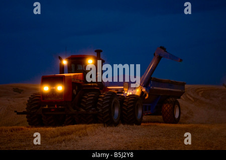 Ein beleuchteter Traktor ziehen einen Korn-Karren durch ein Getreidefeld in frühen Abend in der Palouse Region Washington Stockfoto