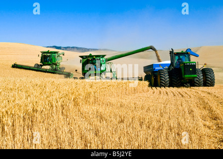 Ein Team von Mähdreschern Ernte Weizen während man ein Korn-Cart unterwegs in der Palouse Region Washington entlädt Stockfoto