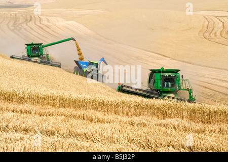 Ein Team von kombiniert Ernte Weizen, während man ein Korn-Cart unterwegs in der Palouse Region Washington entlädt Stockfoto