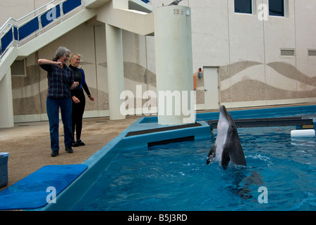 Atlantische Flasche Nase Delphin zeigt die Macht der seine Egel durch heben sich hoch genug, um selbst die Hälfte aus dem Wasser treiben Stockfoto