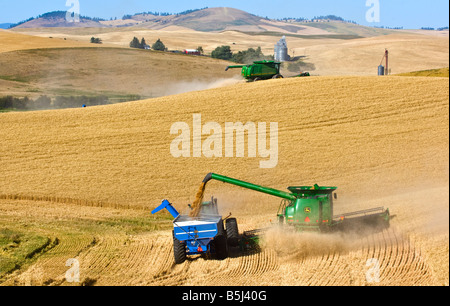 Ein Mähdrescher beim Ernten von Weizen entlädt ein Korn-Cart unterwegs in der Palouse Region Washington Stockfoto