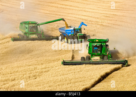 Ein Team von Mähdreschern Ernte Weizen während man ein Korn-Cart unterwegs in der Palouse Region Washington entlädt Stockfoto