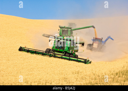 Ein Team von Mähdreschern Ernte Weizen auf den Hügeln der Palouse Region Washington, während man auf dem Sprung zu einem Getreide Wagen entladen Stockfoto