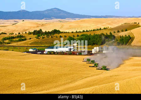 Ein Team von verbindet Ernte Weizen neben der Hofladen in der Palouse Region Washington Stockfoto