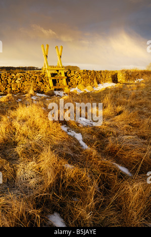 Schnee im Frühjahr auf die Mendip Hills bei Ubley Warren Nature Reserve in der Nähe der Kartause, Somerset, England. Stockfoto